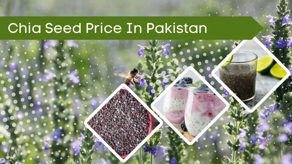 Chia Seed Price