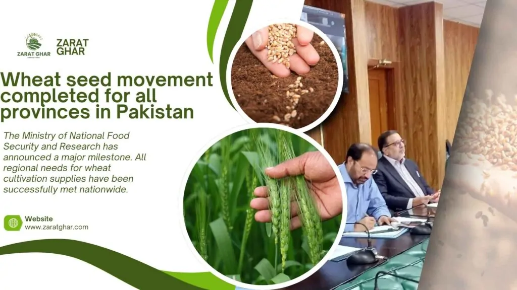 Wheat seed movement completed for all provinces in Pakistan