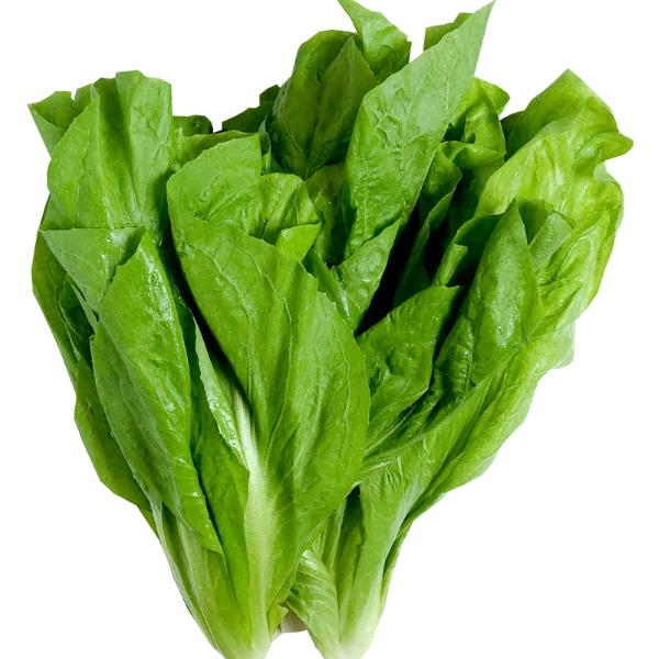 Spinach