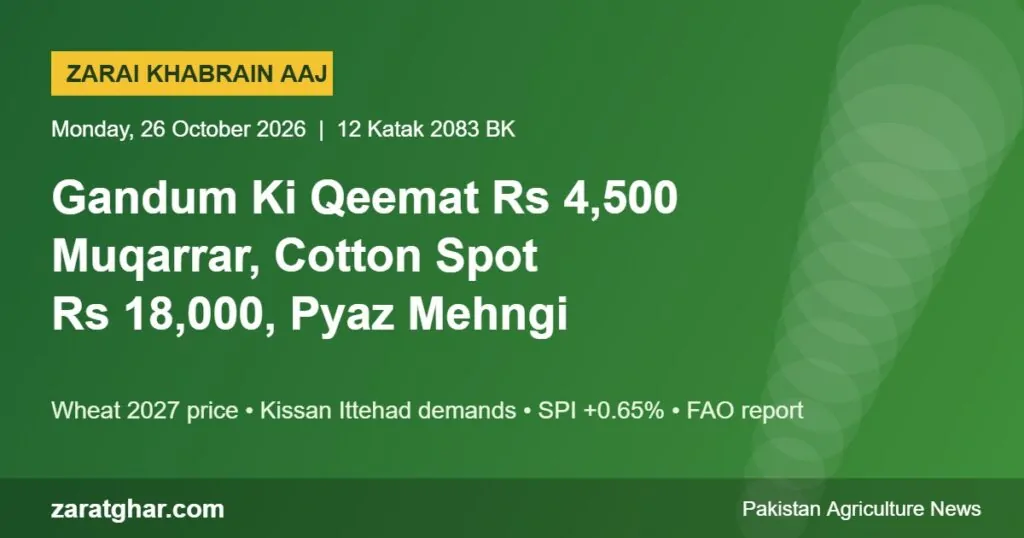 Agriculture news Pakistan 26 October 2026 – wheat Rs 4,500 price, cotton spot Rs 18,000, onion prices