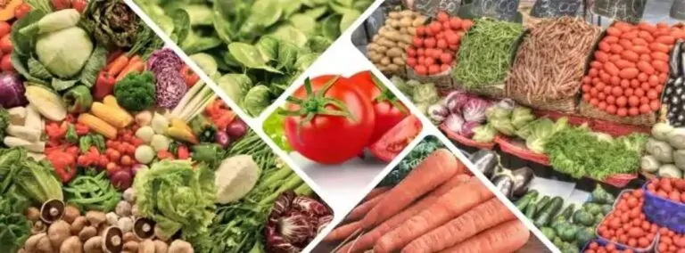 All Seasonal Vegetables in Pakistan