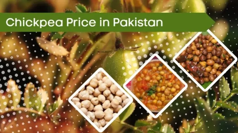 Chickpea Price in Pakistan